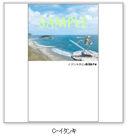 �C�^���L