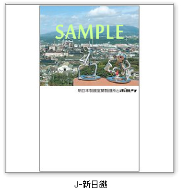 �V���c